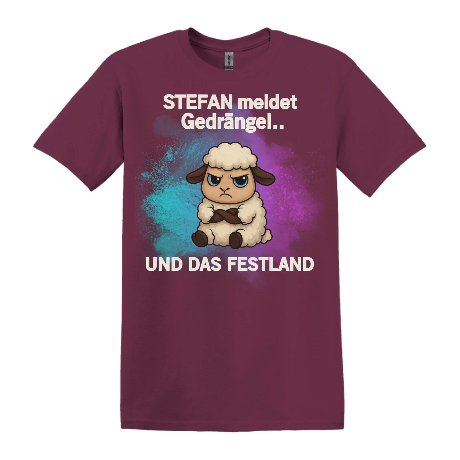 Mockups T-Shirt und Hoodie(19)