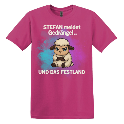 Mockups T-Shirt und Hoodie(40)